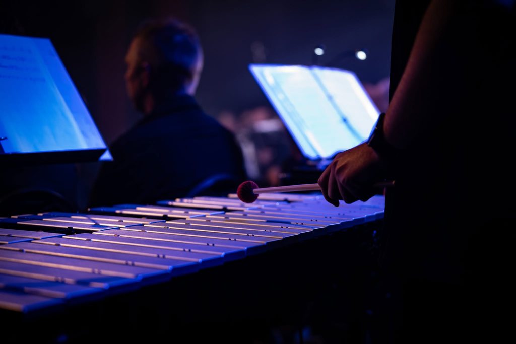 Slagwerkgroep van Echo der Peel